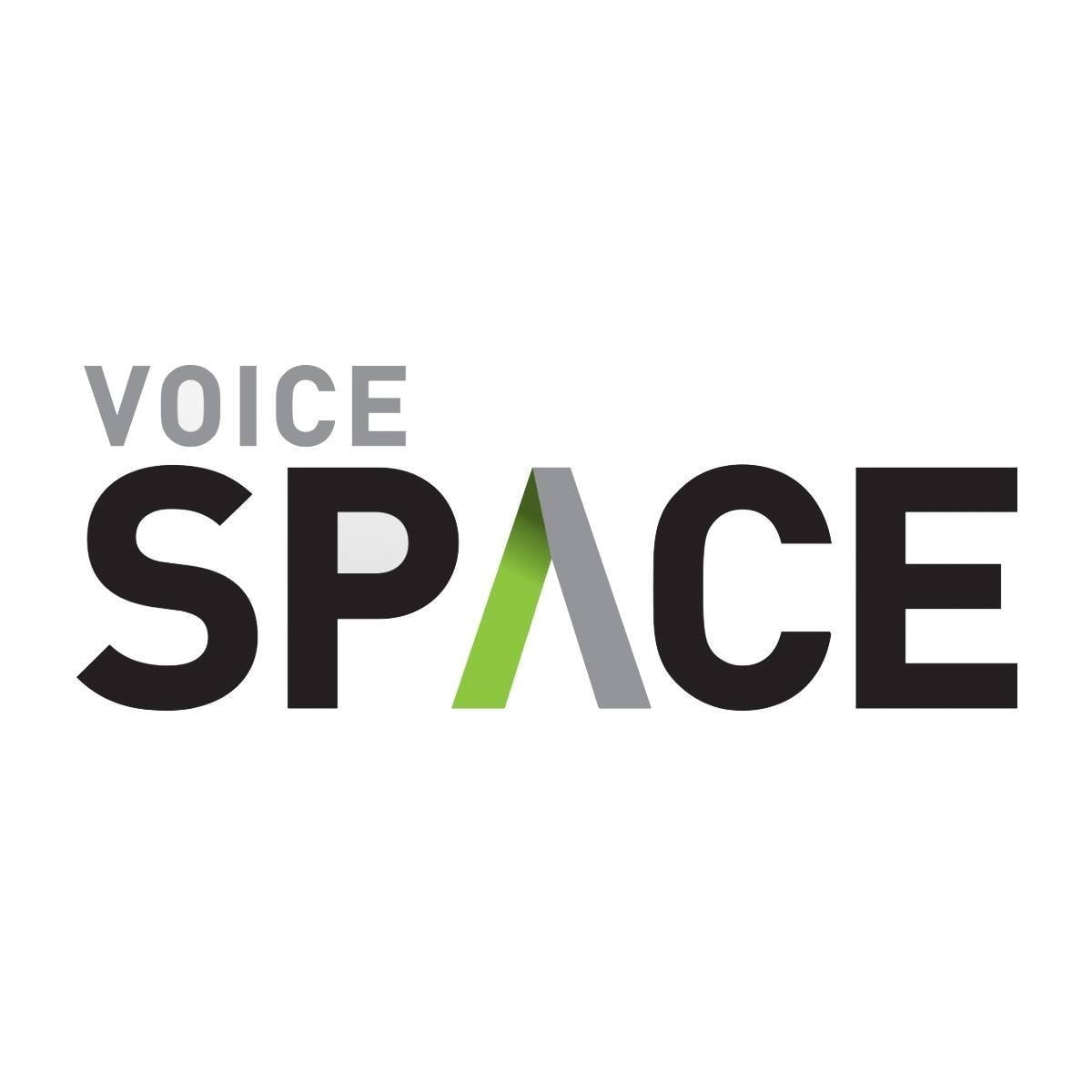 VOICE SPACE